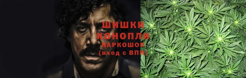 купить   Электросталь  Конопля LSD WEED 